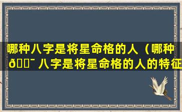 哪种八字是将星命格的人（哪种 🐯 八字是将星命格的人的特征 🐧 ）